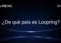 ¿De qué país es Loopring?