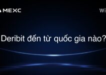 Deribit đến từ quốc gia nào?