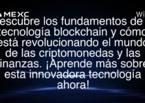 Descubre los fundamentos de la tecnología blockchain y cómo está revolucionando el mundo de las criptomonedas y las finanzas. ¡Aprende más sobre esta innovadora tecnología ahora!