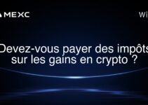 Devez-vous payer des impôts sur les gains en crypto ?