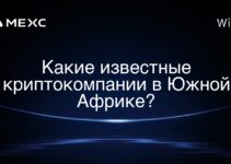 Какие известные криптокомпании в Южной Африке?