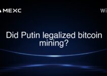 Did Putin legalized bitcoin mining?