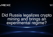 Did Russia legalizes crypto mining and brings an experimental regime?