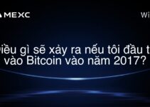 Điều gì sẽ xảy ra nếu tôi đầu tư vào Bitcoin vào năm 2017?