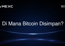 Di Mana Bitcoin Disimpan?
