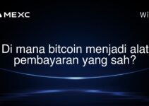 Di mana bitcoin menjadi alat pembayaran yang sah?