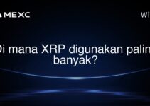 Di mana XRP digunakan paling banyak?