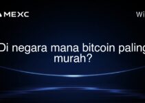 Di negara mana bitcoin paling murah?