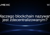 Dlaczego blockchain nazywany jest zdecentralizowanym?