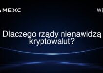 Dlaczego rządy nienawidzą kryptowalut?