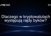 Dlaczego w kryptowalutach występują rajdy byków?