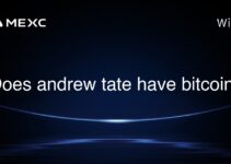 Does andrew tate have bitcoin?