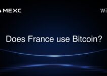 Does France use Bitcoin?