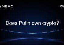 Does Putin own crypto?