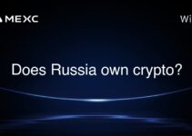 Does Russia own crypto?