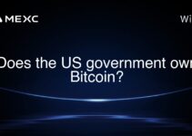 Does the US government own Bitcoin?