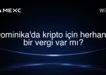 Dominika’da kripto için herhangi bir vergi var mı?