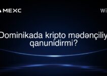 Dominikada kripto mədənçiliyi qanunidirmi?
