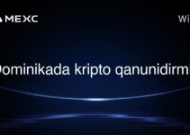 Dominikada kripto qanunidirmi?