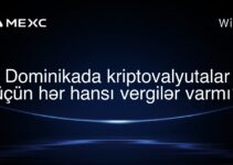 Dominikada kriptovalyutalar üçün hər hansı vergilər varmı?