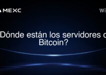 ¿Dónde están los servidores de Bitcoin?