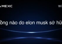 đồng nào do elon musk sở hữu