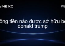 đồng tiền nào được sở hữu bởi donald trump