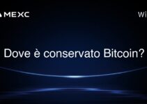 Dove è conservato Bitcoin?