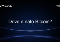 Dove è nato Bitcoin?