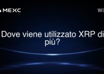 Dove viene utilizzato XRP di più?