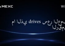 ما الذي drives سعر العملات الرقمية؟