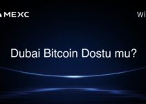 Dubai Bitcoin Dostu mu?