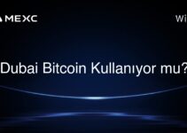 Dubai Bitcoin Kullanıyor mu?