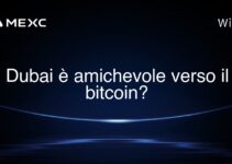 Dubai è amichevole verso il bitcoin?