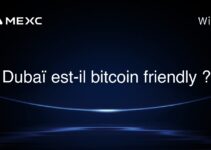 Dubaï est-il bitcoin friendly ?