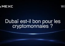 Dubaï est-il bon pour les cryptomonnaies ?