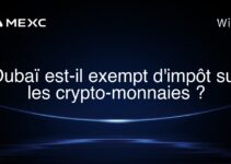 Dubaï est-il exempt d’impôt sur les crypto-monnaies ?