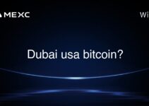 Dubai usa bitcoin?