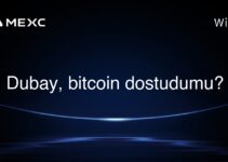 Dubay, bitcoin dostudumu?