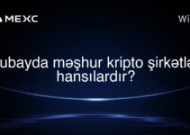 Dubayda məşhur kripto şirkətləri hansılardır?