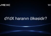 dYdX haranın ölkəsidir?