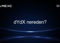 dYdX nereden?
