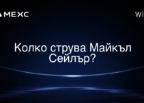 Колко струва Майкъл Сейлър?