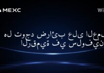 هل توجد ضرائب على العملات الرقمية في سلوفينيا؟