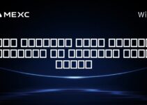 آیا مالیاتی برای ارزهای دیجیتال در باهاماس وجود دارد؟