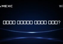 트럼프는 비트코인을 소유하고 있나요?