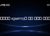 짐바브웨의 крипто에 대한 세금이 있나요?
