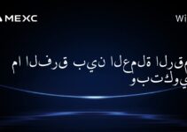 ما الفرق بين العملة الرقمية وبتكوين؟