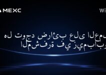 هل توجد ضرائب على العملات المشفرة في زيمبابوي؟
