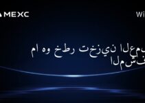 ما هو خطر تخزين العملات المشفرة؟